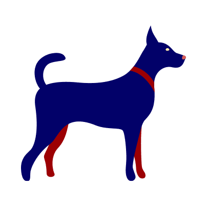 Highly Accomplished Sport Dog Teams