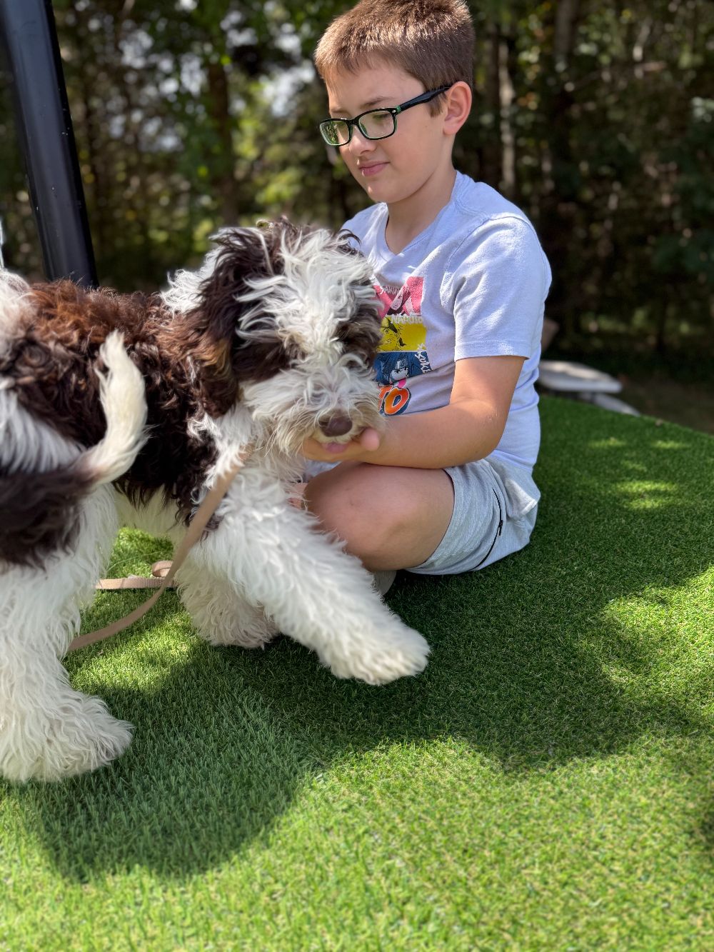 Take Flight Dog Training (1)