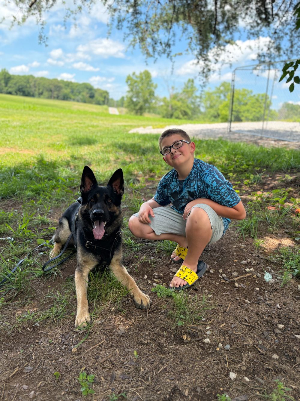 Take Flight Dog Training (1)