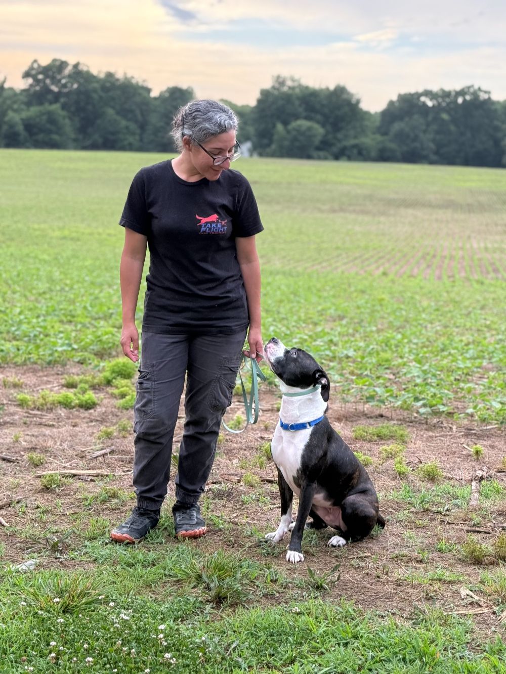 Take Flight Dog Training (10)