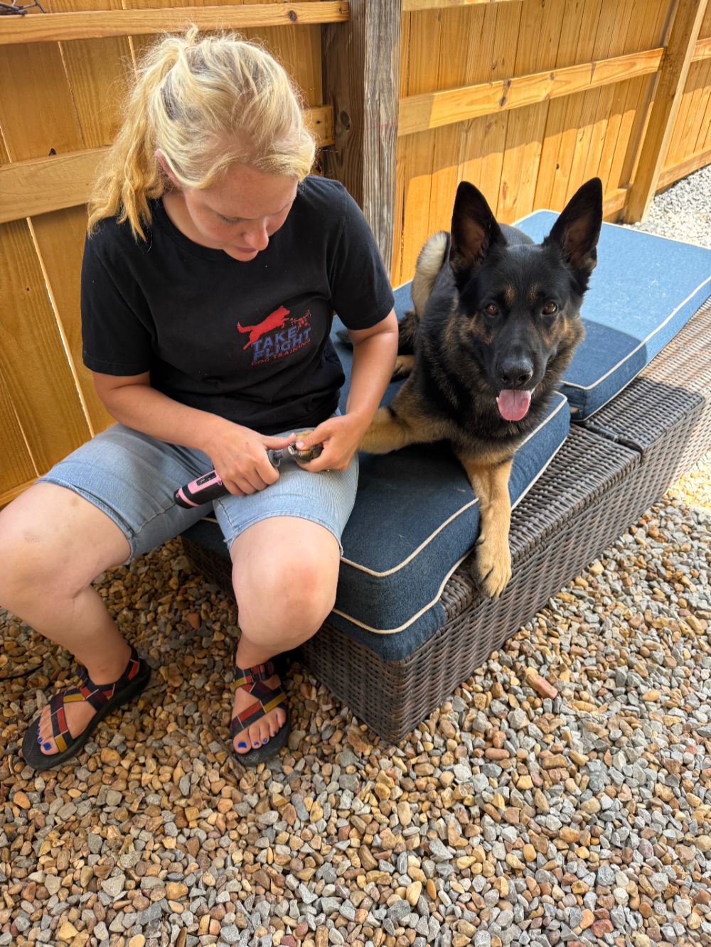 Take Flight Dog Training (17)