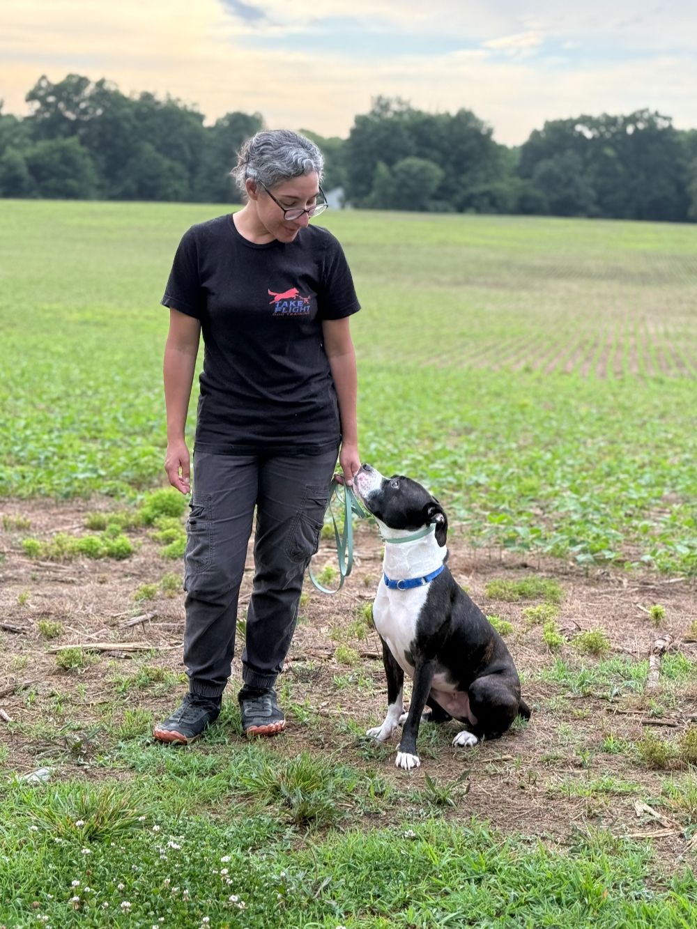 Take Flight Dog Training (5)