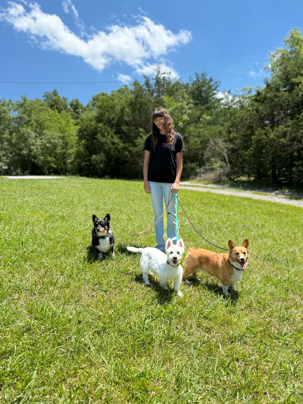 Take Flight Dog Training (6)