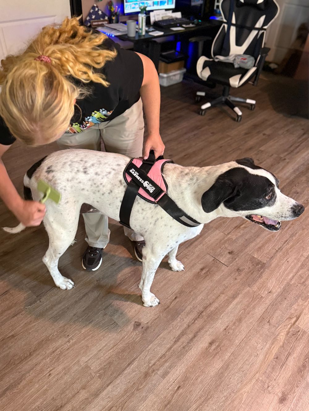 Take Flight Dog Training (7)